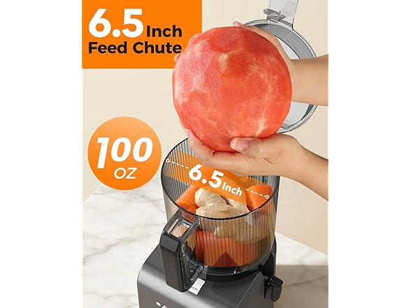 Cold press juicer