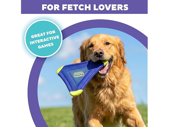 Outward Hound FlyFetch Flyer Dog Toy, Lightweight