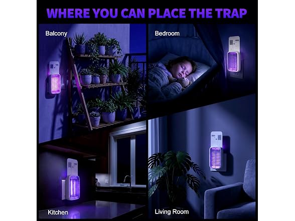 2-Pack Fruit Fly Traps UV+Glue 10 Boards