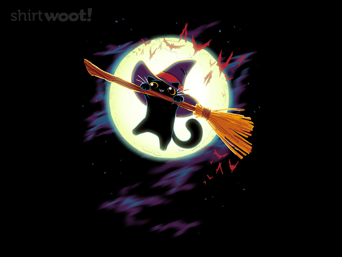 Flying Lessons - Gallery 4
