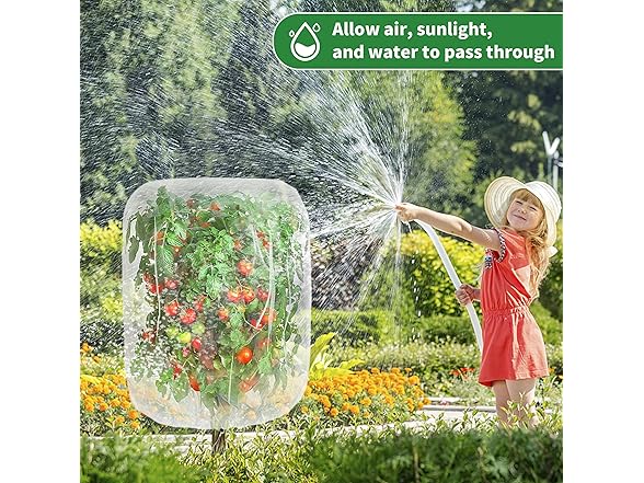 afzdby BC520325050004 Fruit tree netting