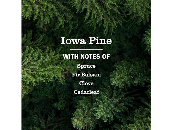 Mrs. MEYER'S Iowa Pine CLEAN DAY Hand
