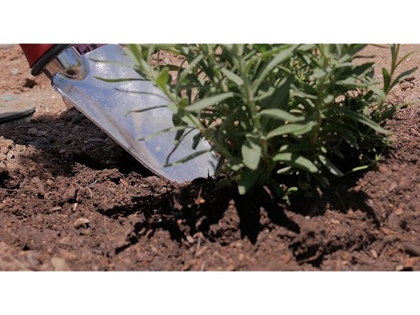 Garden Weasel Trowel