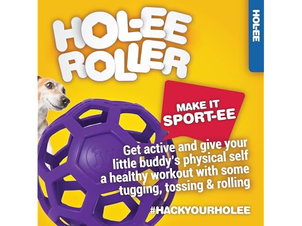 JW Pet HOLEE ROLLER BALL Dog Chew Treat Fetch