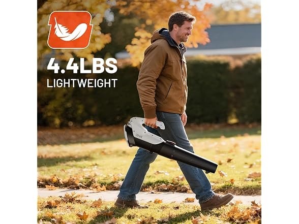 Litheli Cordless Leaf Blower with 2 Batteries