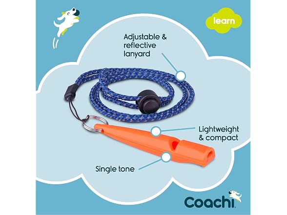 Company of Animals Coachi Training Whistle | Coral
