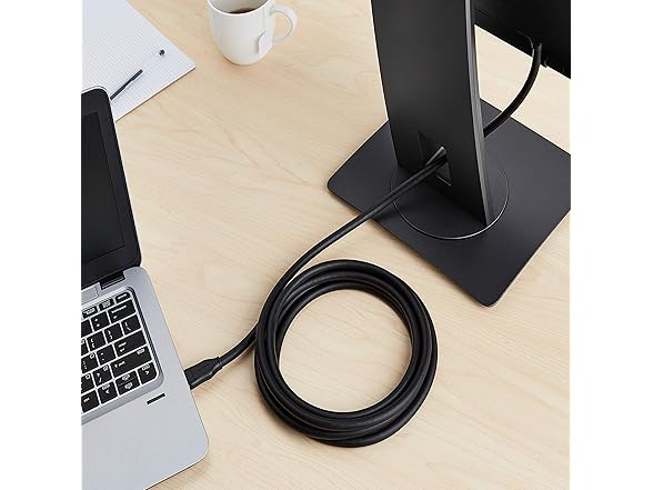 Amazon Basics DisplayPort Cable, 10 ft, 28-Pack