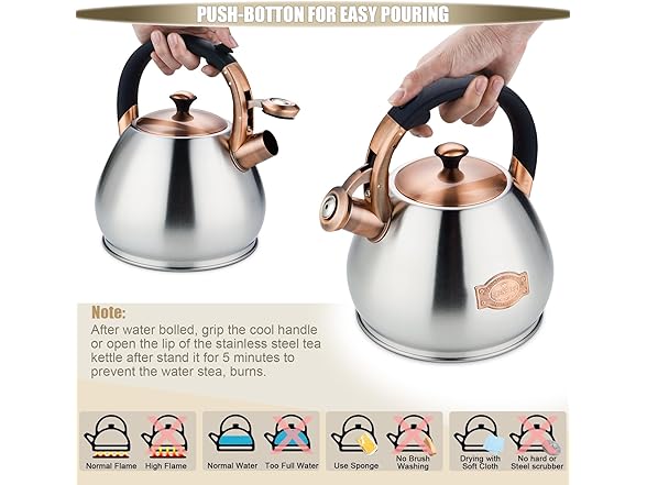 Tea Kettle Stovetop