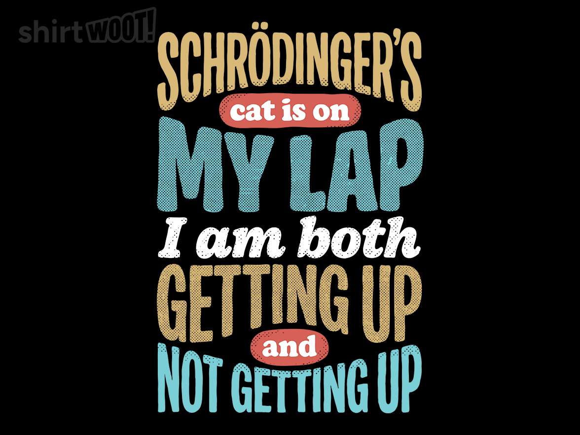 Schrodinger's Lap - Gallery 9