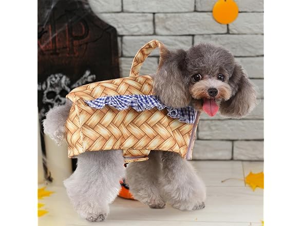 Basket Dog Costume Halloween Costumes Small - Gallery 7