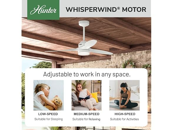 Hunter Fan 52 inch Ceiling Fan with Light