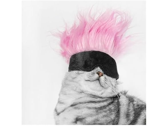 WALDOR Pet Wig Hat