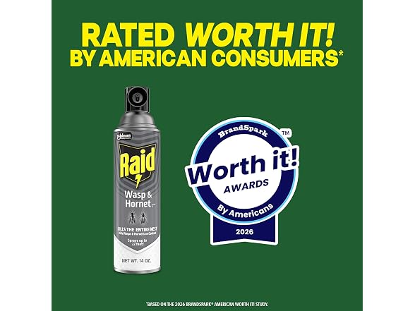 Raid GAR-03 Raid Wasp & Hornet Killer 14 Oz, 2 Ct