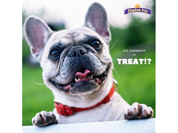 Kingdom Pets Chicken Jerky Dog Treats 3lb.