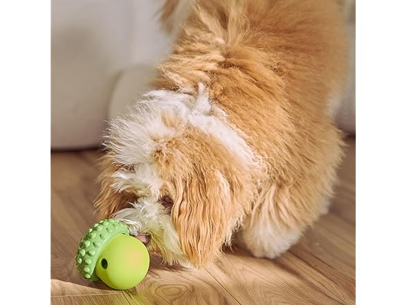 SPOT Treat Tumbler Broccoli – Freezable & Fillable