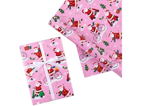 Pink Santa Claus & Bike
