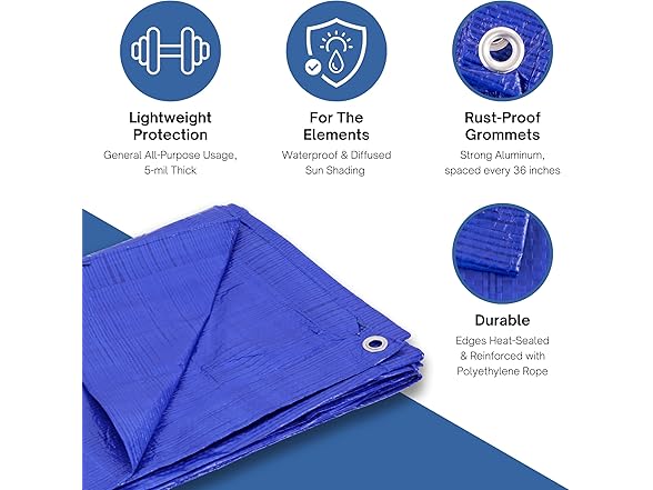 Kotap 50 x 50 Ft. All-Purpose Multi-Use Protection/Coverage 5-mil Poly Tarp