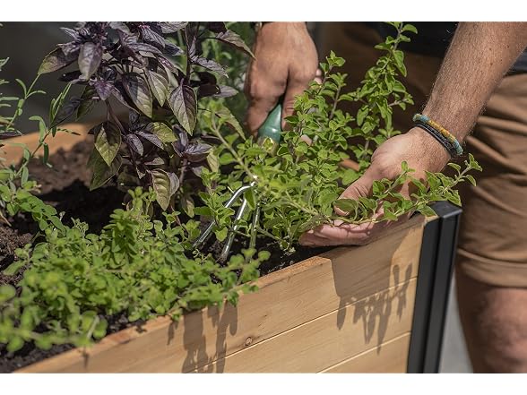 Vita Mezza Sprout Farm