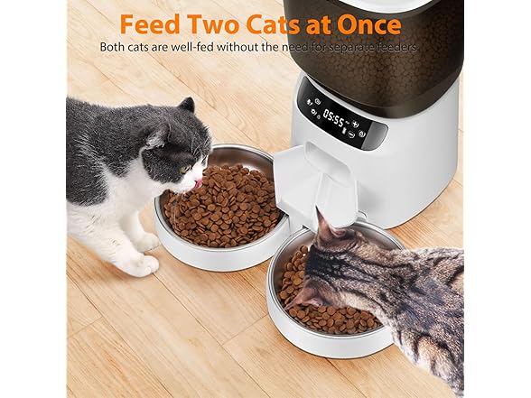 Katalic Automatic Cat Feeders