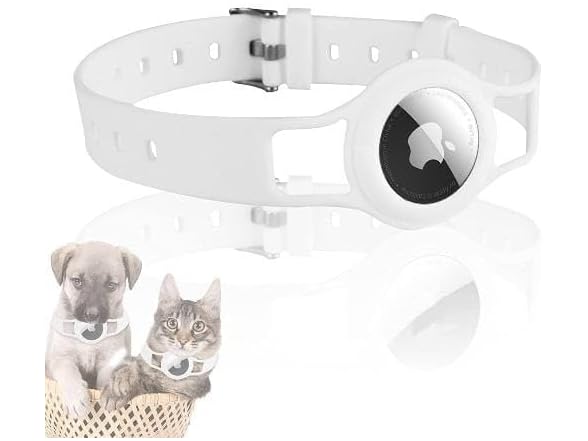 SaharaCase Silicone Dog Collar for Apple AirTag