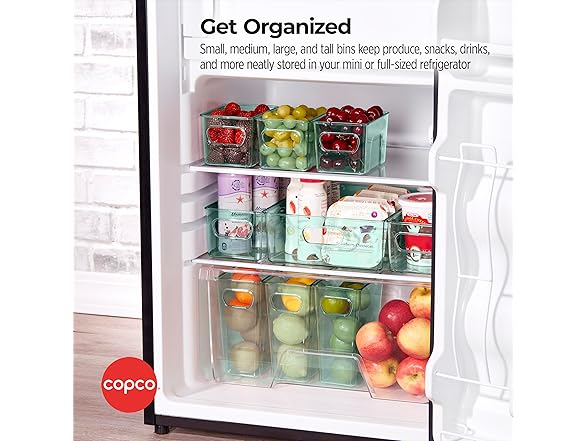 Copco Clear Storage Bin, Set of 4