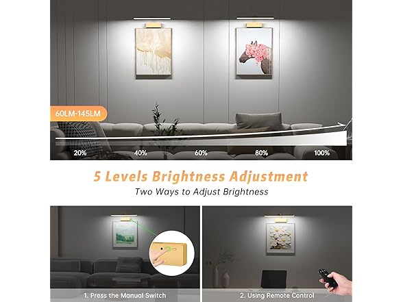 Lightbiz Picture Light for Wall
