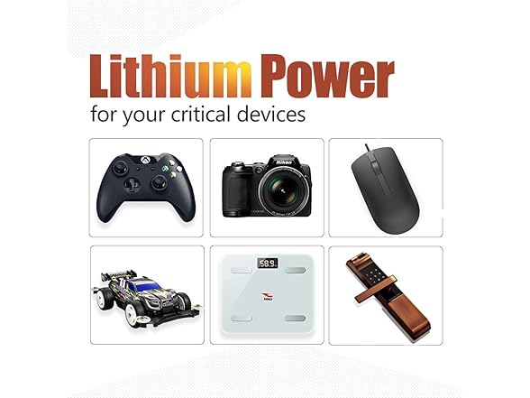 (12 PACK) Tipsun AA 2900mAh Lithium Batteries