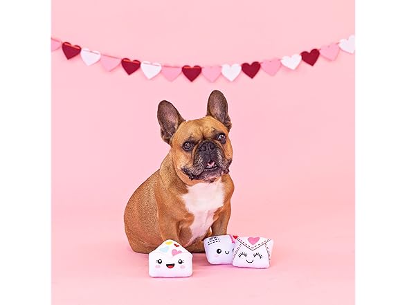 Fringe Studio Plush Dog Toy, 3 Pieces Set