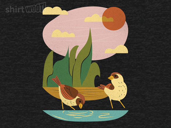 Birds Drinking Water