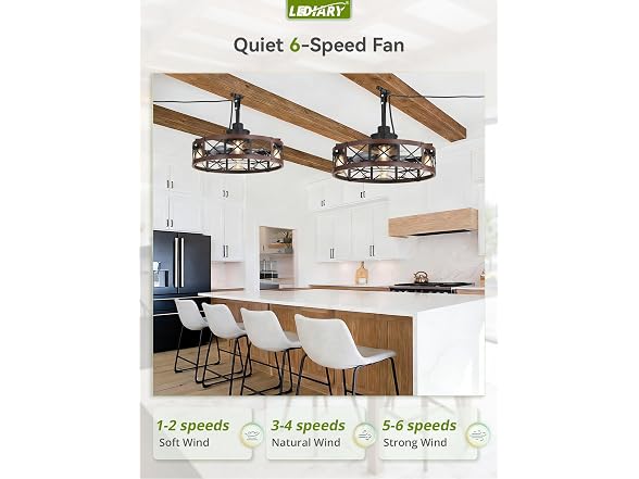 LEDIARY Walnut 22" Outdoor Ceiling Fan with Lights