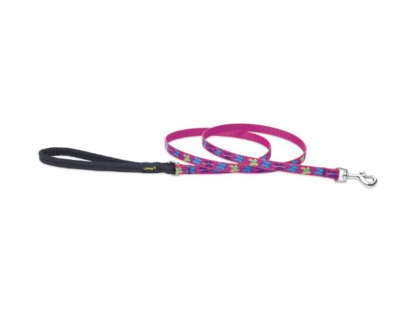 LupinePet Originals 1/2" Wing It 4-foot Padded Leash