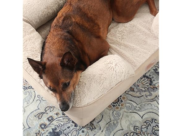 TOWN & COUNTRY EVERYDAY CuddleTown Comfy