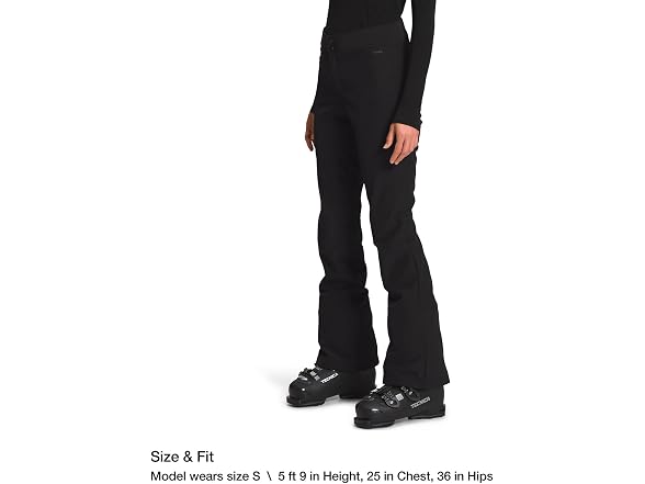 The North Face Women's (L) Apex STH Snowpant Reg