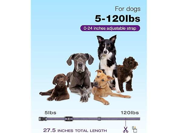 Bousnic B0CWTVJ6XJ Dog Shock Collar