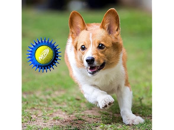 Nerf Dog 2.5in Squeak Armor Tennis Ball Dog Toys