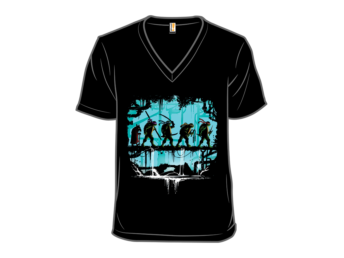 The Fellowship of the Turtles - Gallery 10