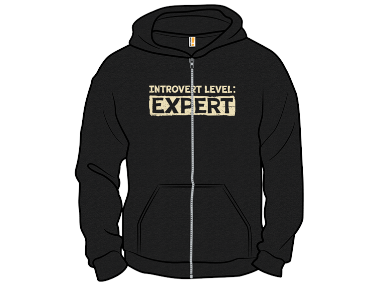 Introvert Level Expert