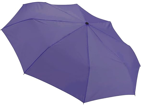 Lewis N. Clark Travel Purple Umbrella