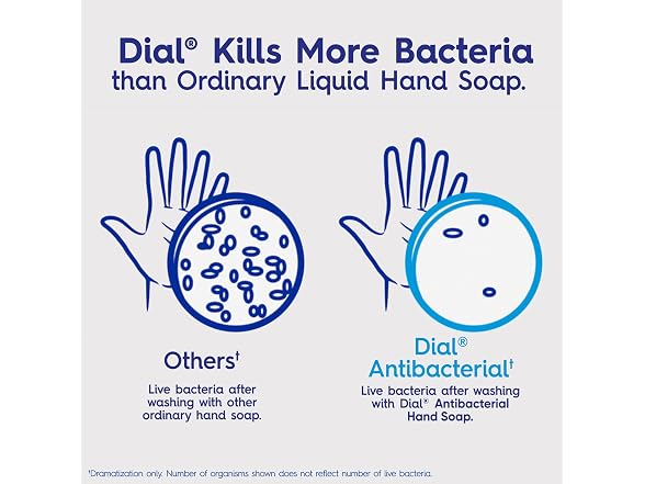 Dial Antibacterial Hand Soap Refill Spring 52oz