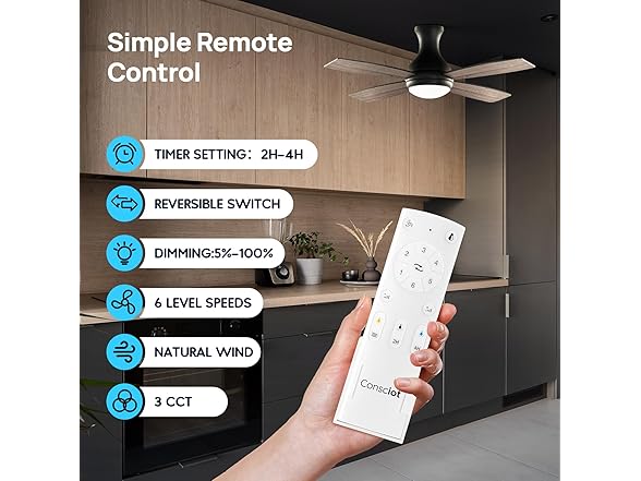 Consciot 52 Inch Ceiling Fan With Lights, Modern Black