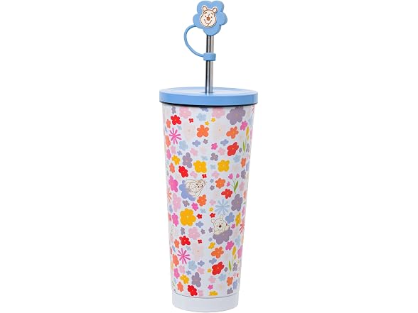 Disney Winnie the Pooh Spring, Stainless Steel 24oz
