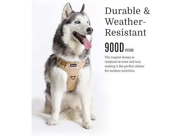 Fei and Eve 2025 Fei & Eve Classic Series Dog Harnes