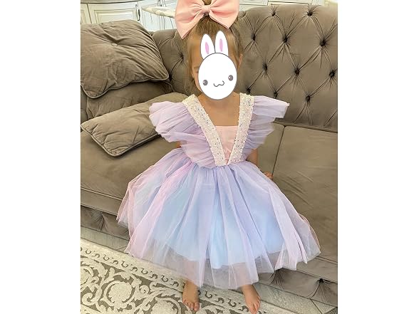 Ttyaovo (2-3T) Flower Girl Tulle Birthday Dress