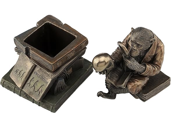 Chimpanzee Scholar Trinket Box