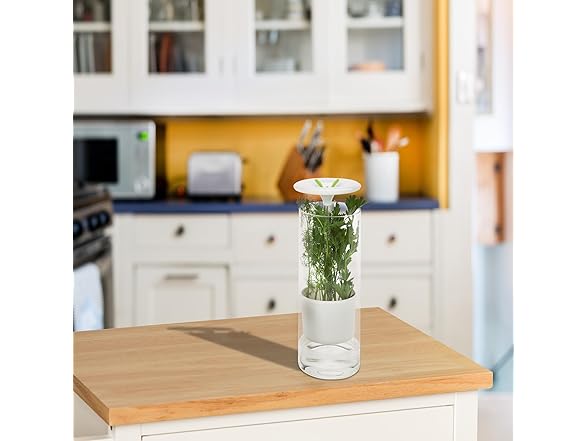 Honey-Can-Do Glass Herb Preserver