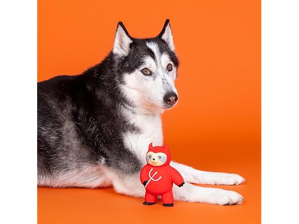 A Little HOTHEADED Latex Dog Toy