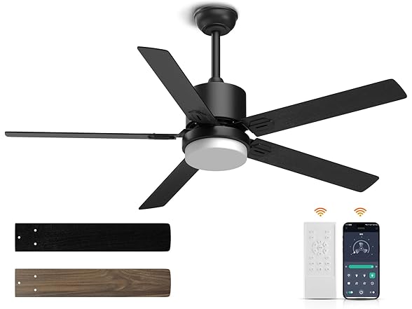 Sky sea Ceiling Fan with Light, Black, 52 inch