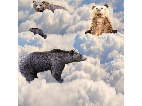 Bears On Clouds
