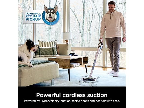 Shark PowerPro Flex Reveal Plus IZ382H Cordless Vacuum