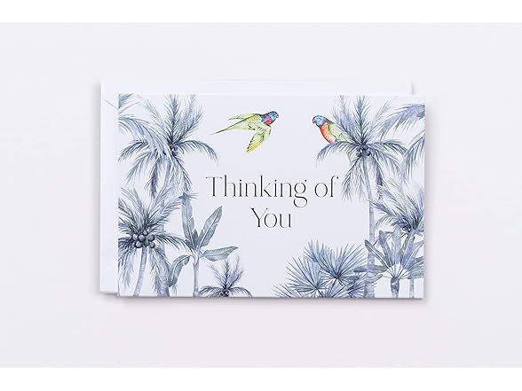 Polite Society Assorted Greeting Cards